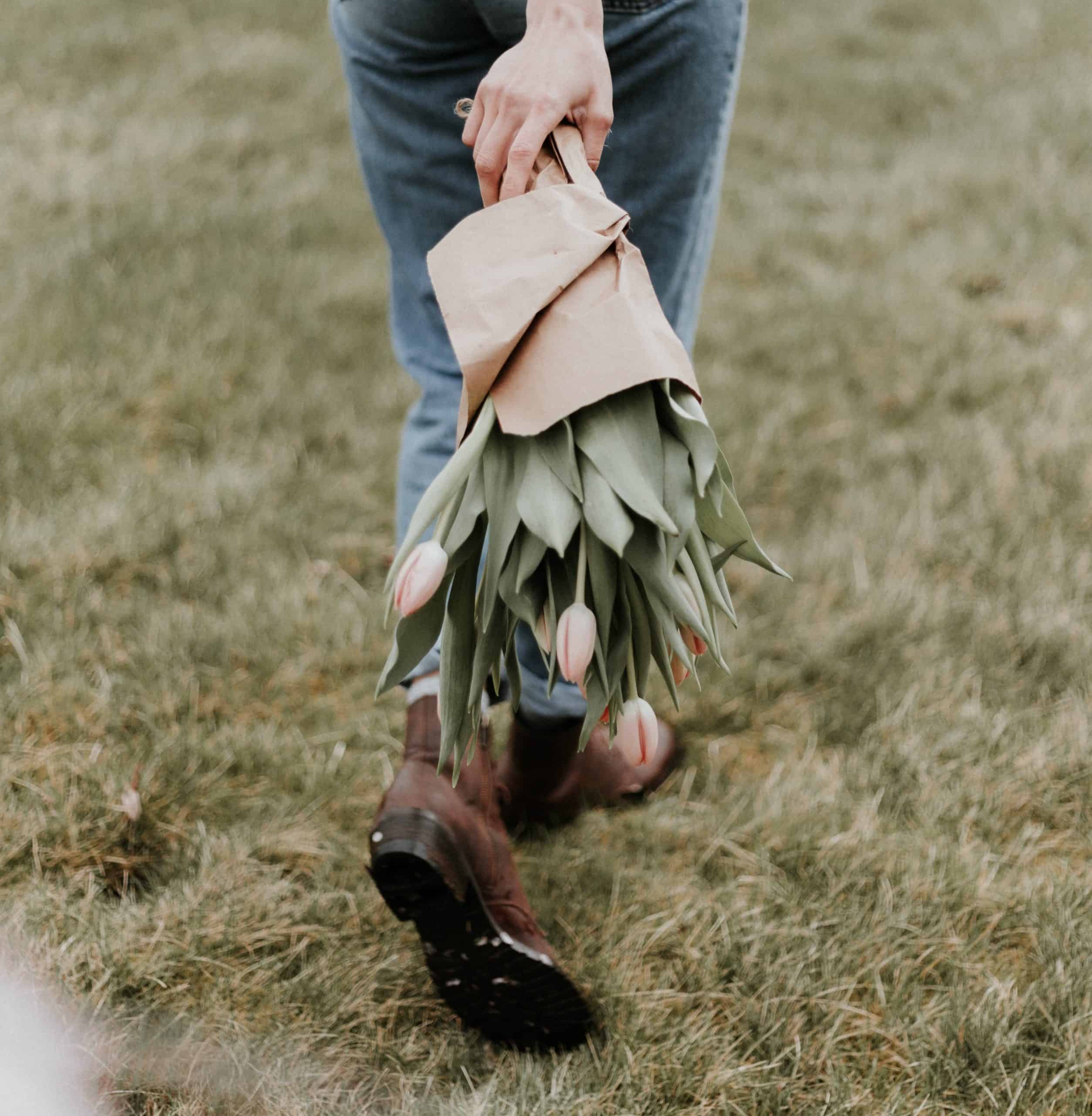 The Healing Art of Normalizing (Transformational Principle + Skill)