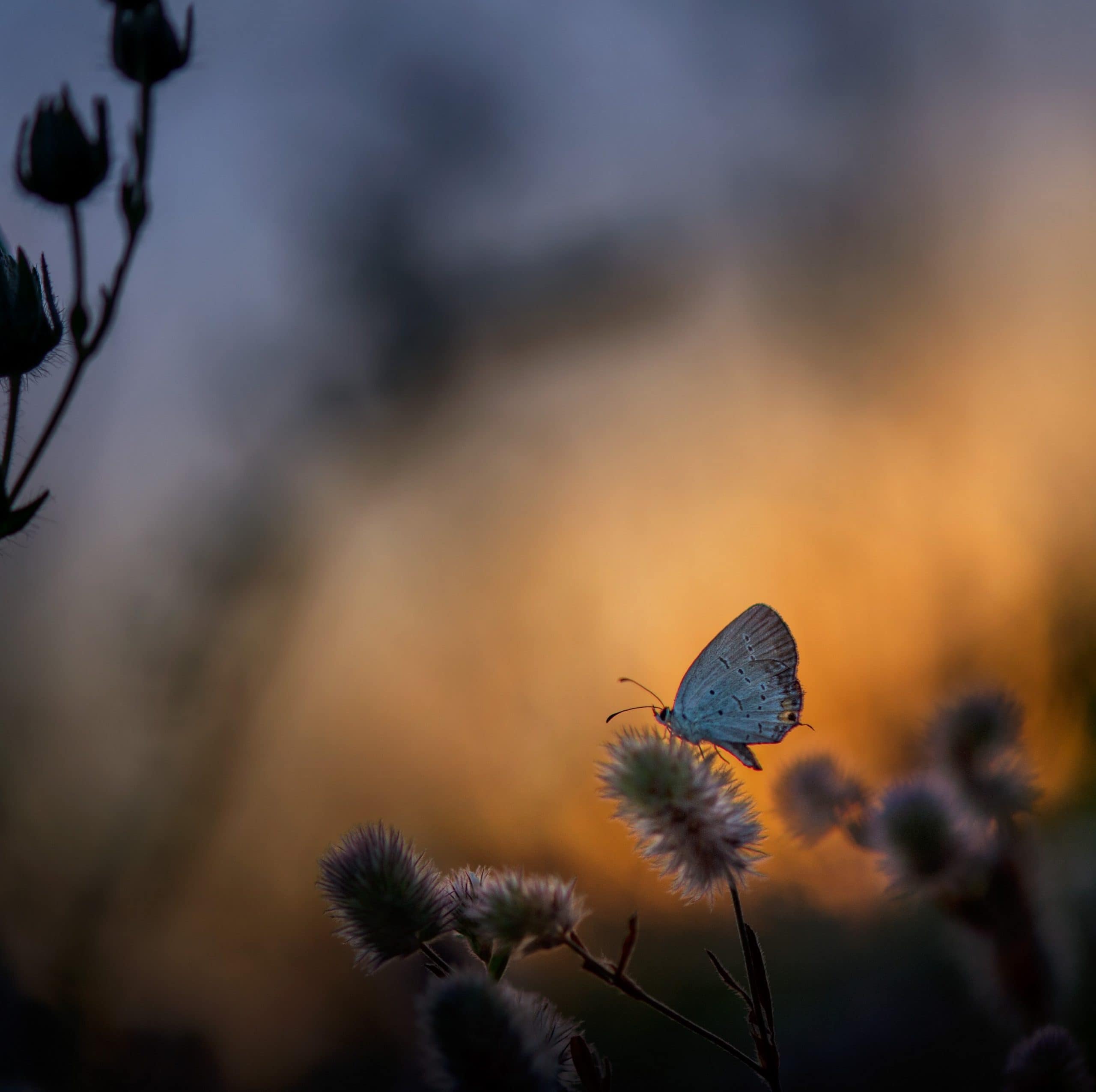 The 4 Levels of Transformation You Must Provide Your Clients