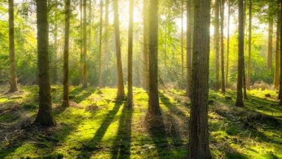 As Leaders, We Need to Embrace Our Imperfections