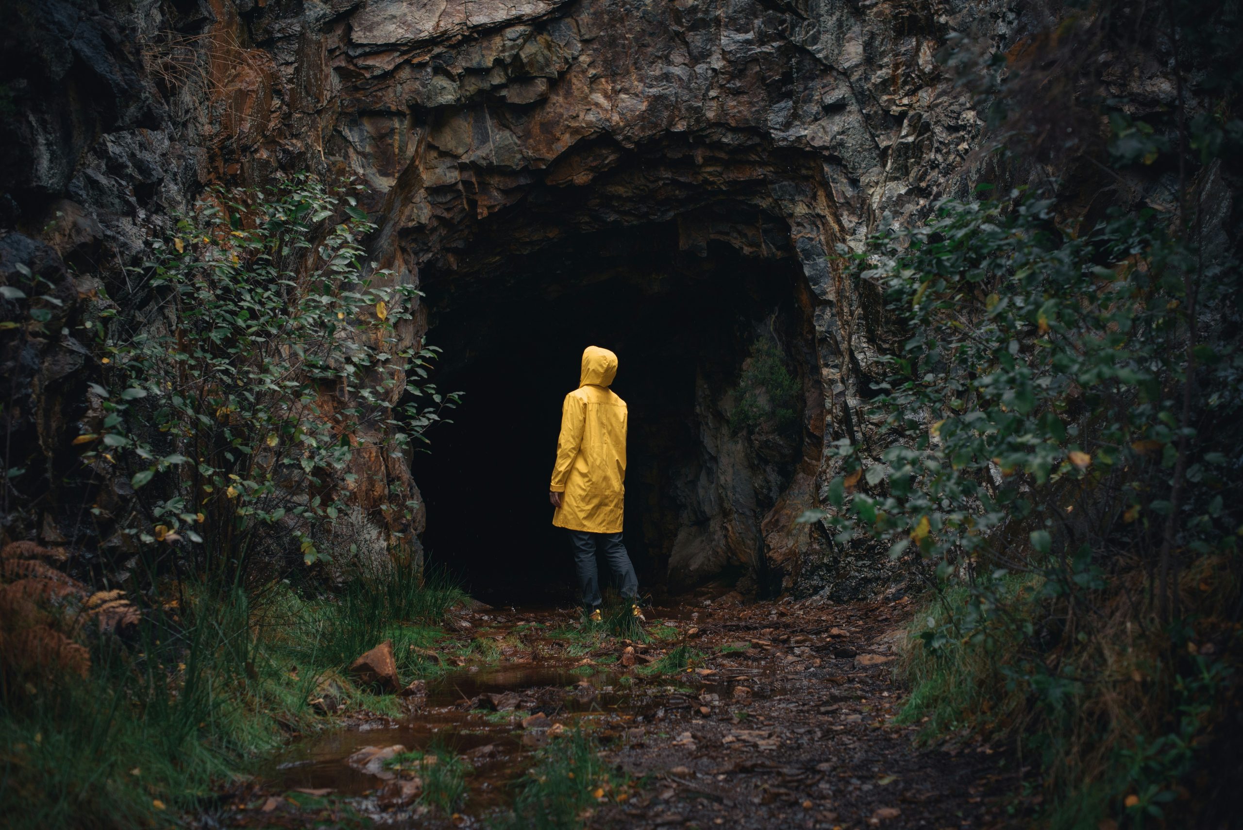 Jason d 7BhTfoKsheQ unsplash
